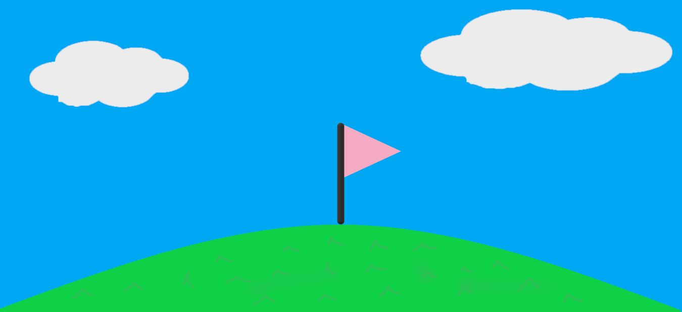 Capture The Flags Cover